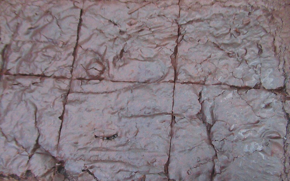 Chocolate brownie darkC — illustrative reference photograph